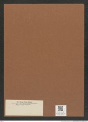 Diatomeae indet. Zeichnungen Sammlung Grunow Mappe 04171 (Herbarium_W_Grunow_drawings_Folder_04171)